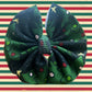 RTS Christmas Tree Bow